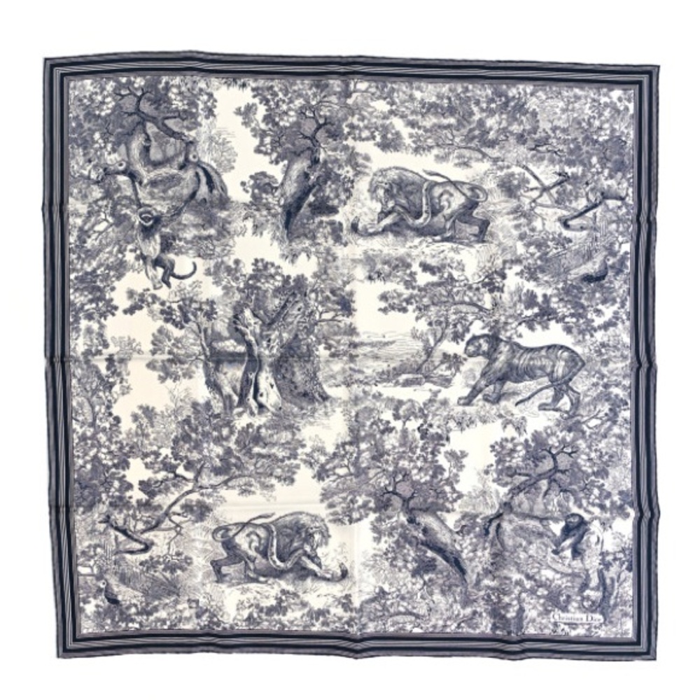 Dior scarf